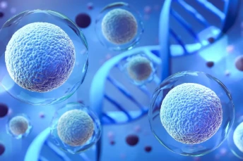 Biotecnologica